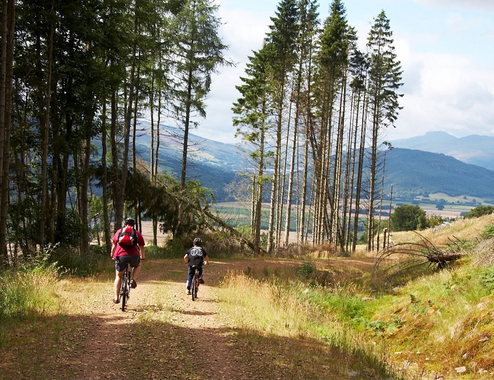 Highland Safaris Highland Safaris