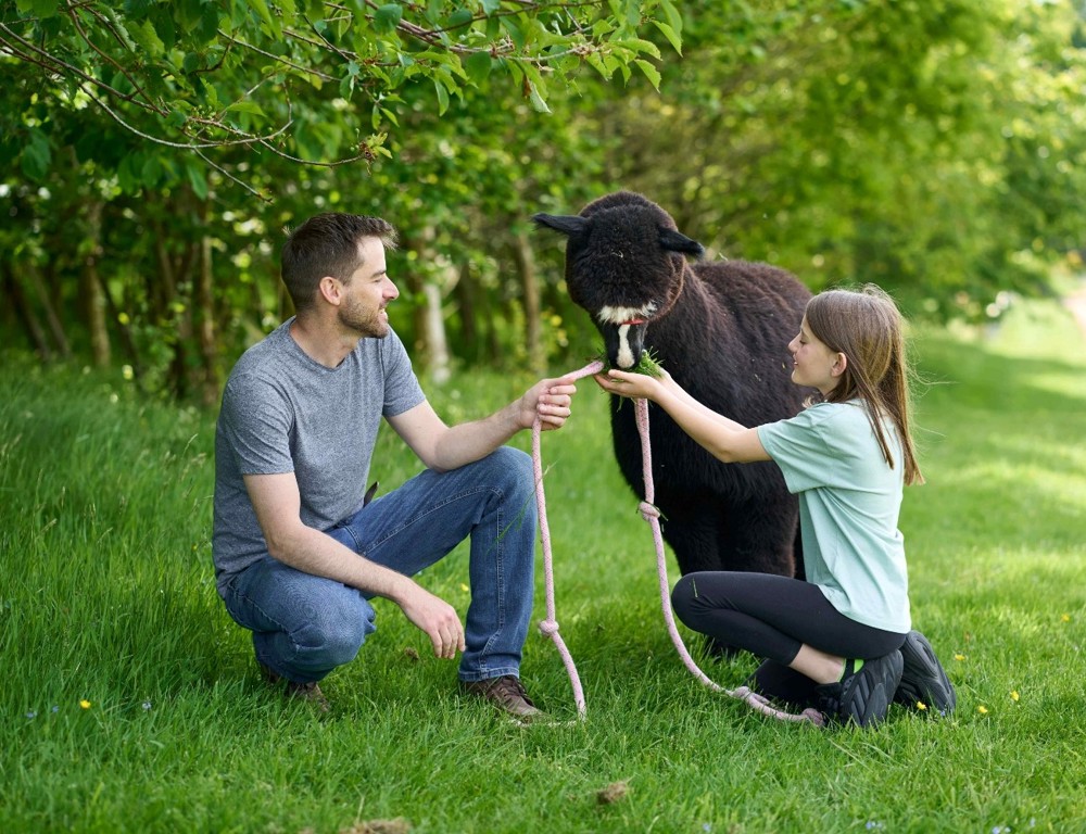 Alpaca Trekking Alpaca Trekking