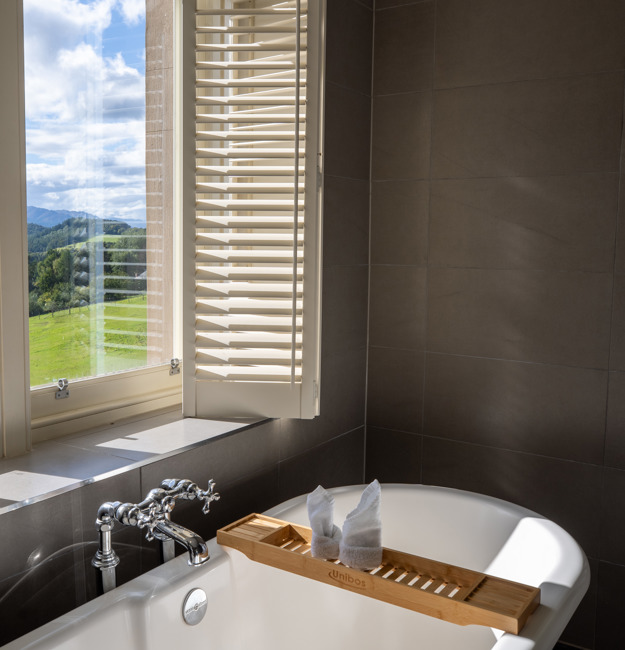 Standalone bathtub in front of a window on a bright sunny day.