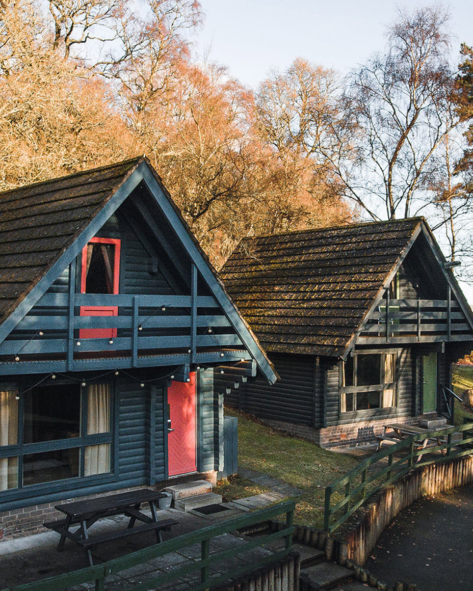 Cozy Cabins