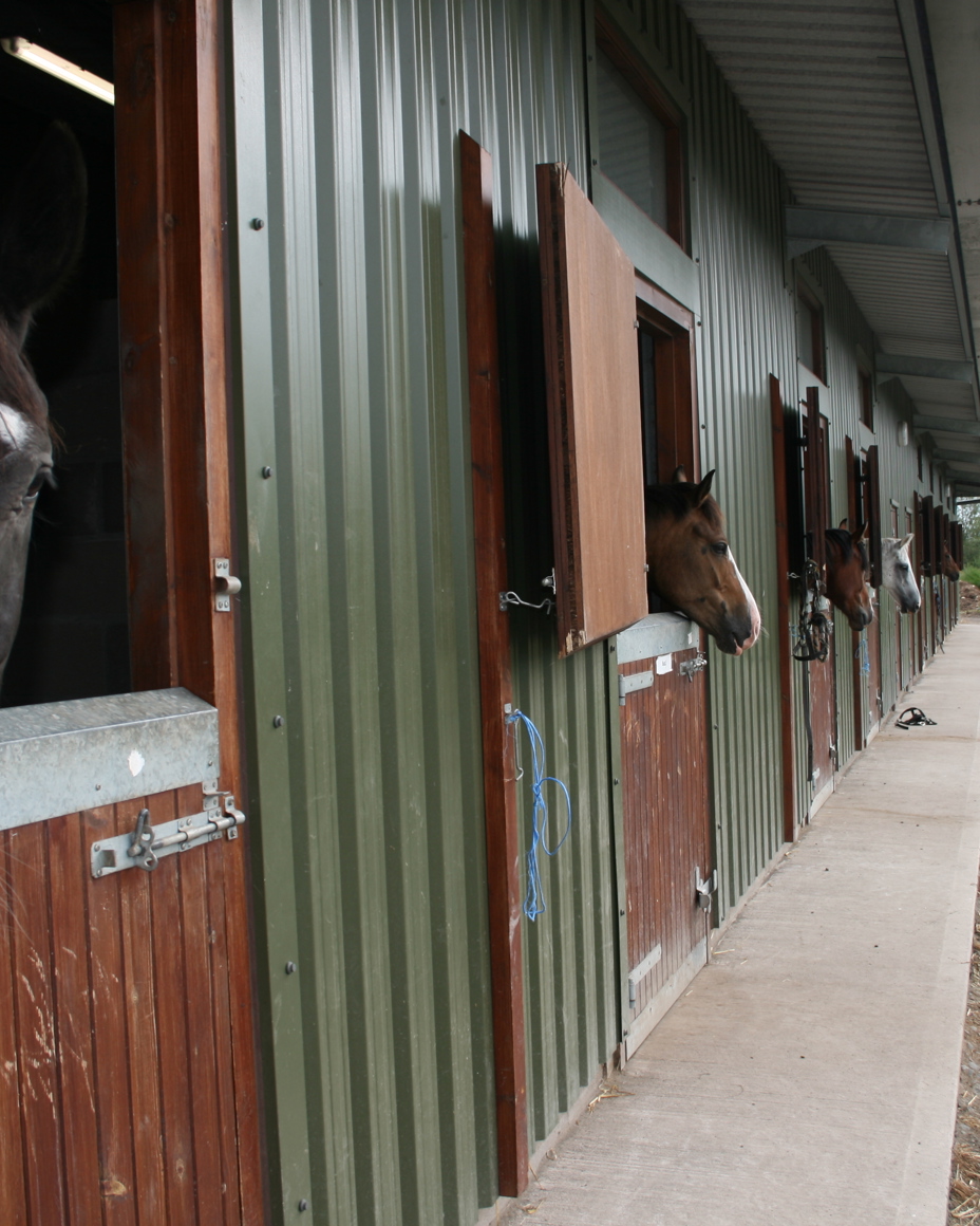 Horses in their stables at Crieff Hydro