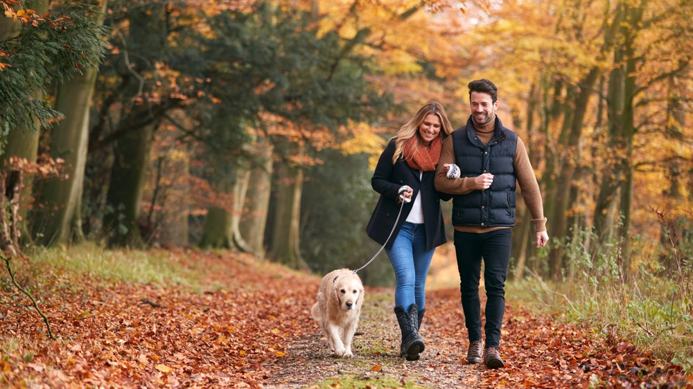 Things to do around Crieff Hydro