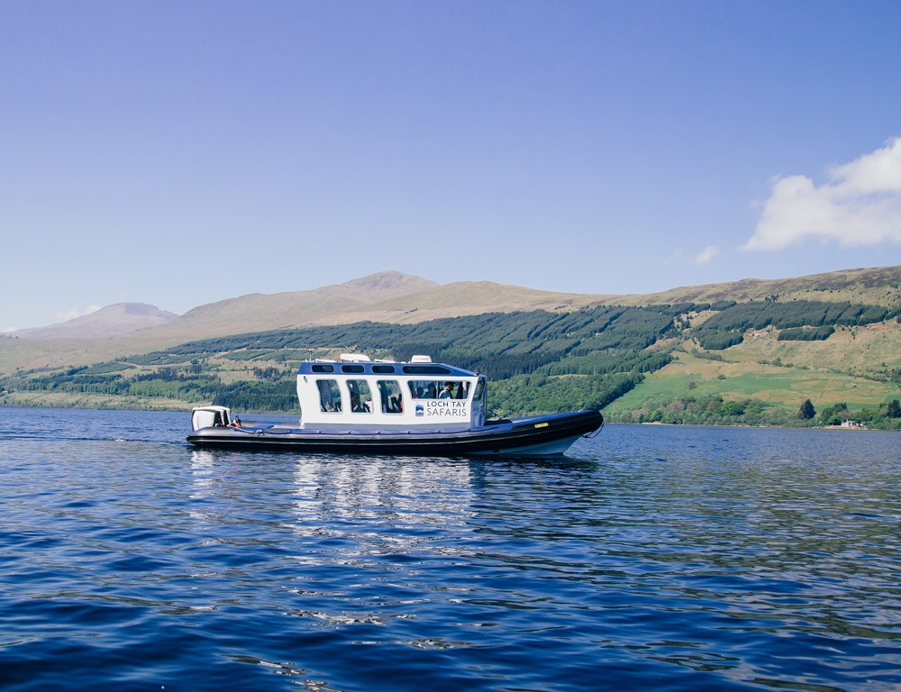 Highland Safaris Highland Safaris