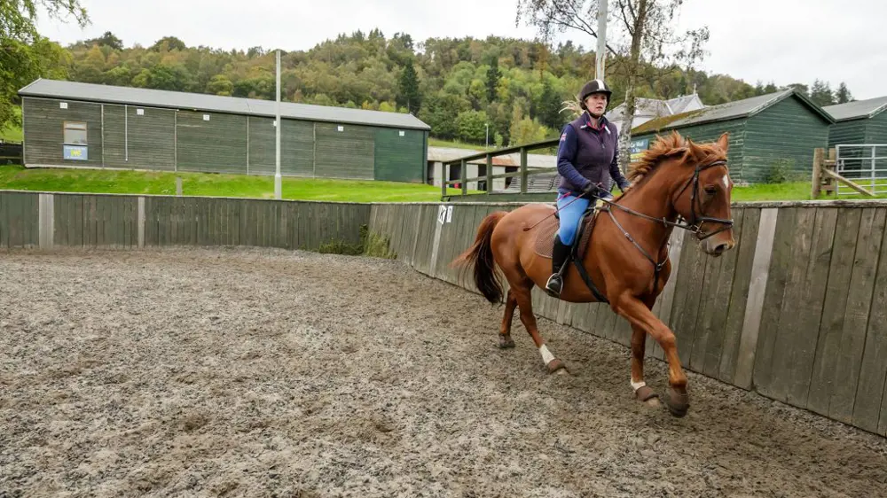 A little gallop